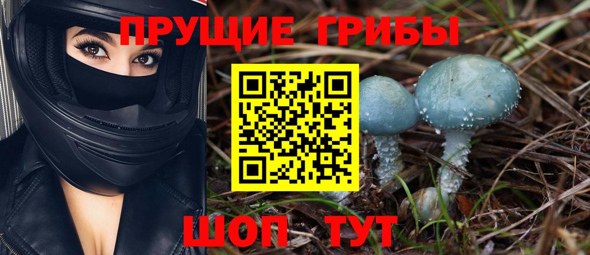Псилоцибиновые грибы Psilocybe  Вход с VPN  Галлюциногенные грибы мицелий  Россия 